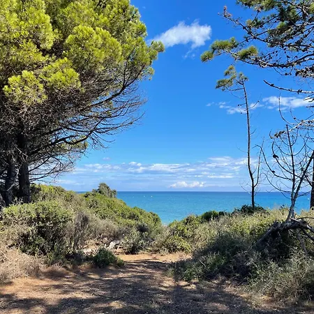 T3 Bord De En Corse N130 *