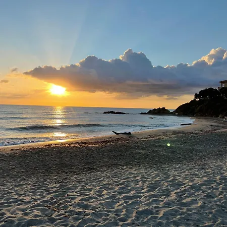 T3 Bord De En Corse N130 Appartement