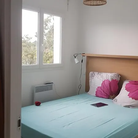 T3 Bord De En Corse N130 Appartement Linguizzetta