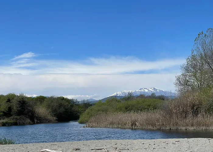 T3 Bord De En Corse N130 Linguizzetta