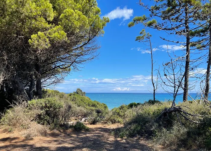 T3 Bord De En Corse N130 *