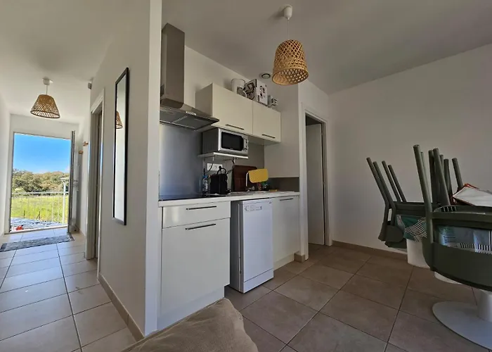 T3 Bord De En Corse N130 Linguizzetta